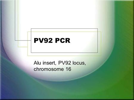 Alu insert, PV92 locus, chromosome 16