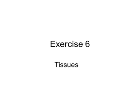 Exercise 6 Tissues. Organization of Tissues Types There are four major tissue types: 1.Epithelium 2.Connective 3.Muscle 4.Nervous.