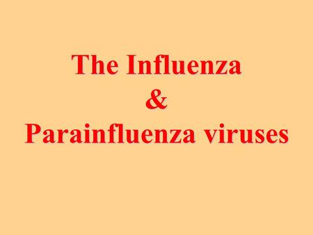 The Influenza & Parainfluenza viruses