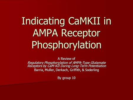 Indicating CaMKII in AMPA Receptor Phosphorylation A Review of Regulatory Phosphorylation of AMPA-Type Glutamate Receptors by CaM-KII During Long-Term.