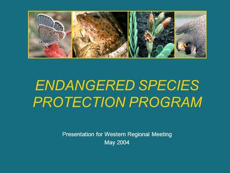 ENDANGERED SPECIES PROTECTION PROGRAM Presentation for Western Regional Meeting May 2004.