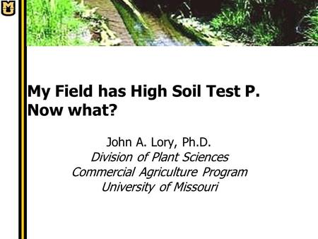 My Field has High Soil Test P. Now what? John A. Lory, Ph.D. Division of Plant Sciences Commercial Agriculture Program University of Missouri.