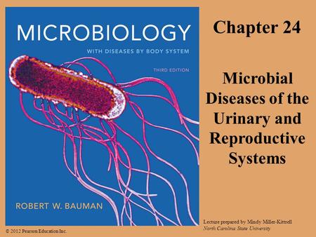 © 2012 Pearson Education Inc. Lecture prepared by Mindy Miller-Kittrell North Carolina State University Chapter 24 Microbial Diseases of the Urinary and.