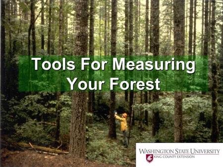 Tools For Measuring Your Forest.