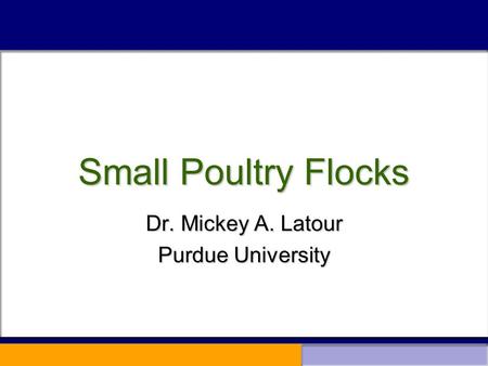 Small Poultry Flocks Dr. Mickey A. Latour Purdue University.