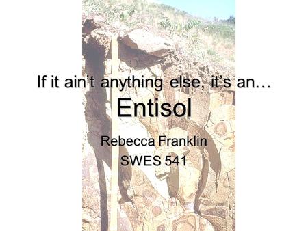 If it ain’t anything else, it’s an… Entisol Rebecca Franklin SWES 541.
