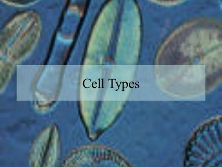 Cell Types. Cell Theory Every living organism is made of one or more cells The smallest organisms are made of single cells while multicellular organisms.