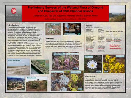 Preliminary Surveys of the Wetland Flora of Ormond and Chaparral of CSU Channel Islands Jonathan Cox, Ted Liu, Alejandra Naranjo and Dr. Steven Norris.
