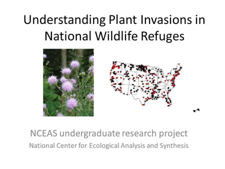 Understanding Plant Invasions in National Wildlife Refuges NCEAS undergraduate research project National Center for Ecological Analysis and Synthesis.