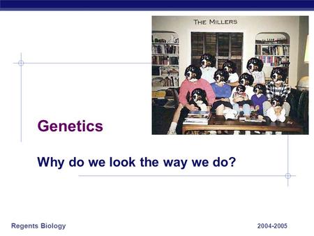 Regents Biology 2004-2005 Genetics Why do we look the way we do?