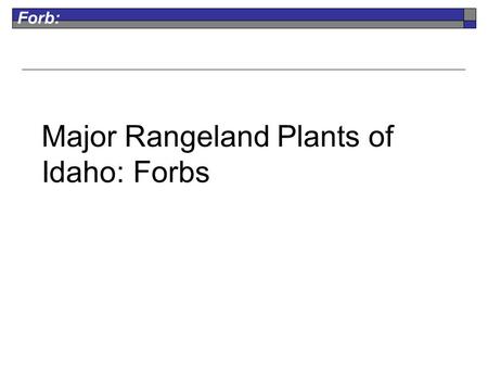 Forb: Major Rangeland Plants of Idaho: Forbs. Forb: Arrowleaf Balsamroot Perennial Native Fair for Grazers Fair for Browsers flowers are sunflower-like,