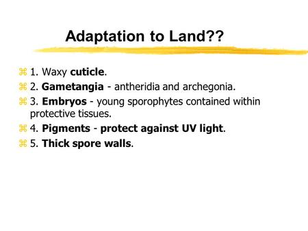 Adaptation to Land?? z1. Waxy cuticle. z2. Gametangia - antheridia and archegonia. z3. Embryos - young sporophytes contained within protective tissues.