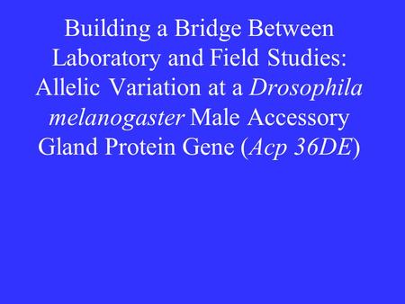 Building a Bridge Between Laboratory and Field Studies: Allelic Variation at a Drosophila melanogaster Male Accessory Gland Protein Gene (Acp 36DE)