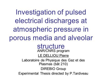 Investigation of pulsed electrical discharges at atmospheric pressure in porous media and alveolar structure ANR/CNRS program LE DELLIOU Pierre Laboratoire.