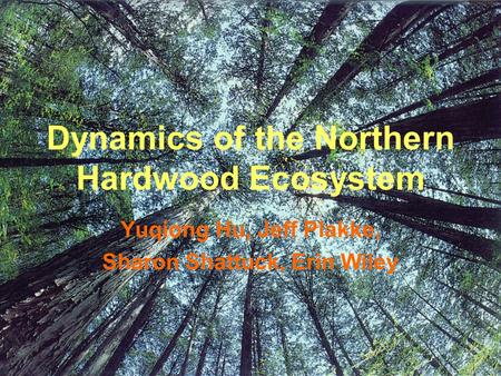 Dynamics of the Northern Hardwood Ecosystem Yuqiong Hu, Jeff Plakke, Sharon Shattuck, Erin Wiley.