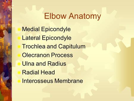 Elbow Anatomy  Medial Epicondyle  Lateral Epicondyle  Trochlea and Capitulum  Olecranon Process  Ulna and Radius  Radial Head  Interosseus Membrane.