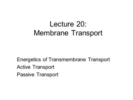 Lecture 20: Membrane Transport Energetics of Transmembrane Transport Active Transport Passive Transport.