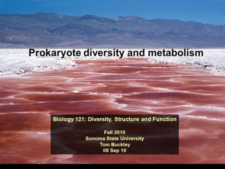 Biology 121: Diversity, Structure and Function Fall 2010 Sonoma State University Tom Buckley 08 Sep 10 Prokaryote diversity and metabolism.