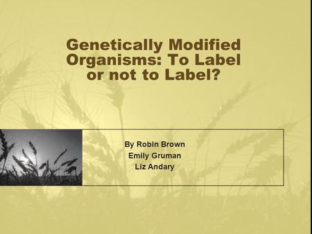 Genetically Modified Organisms: To Label or not to Label? By Robin Brown Emily Gruman Liz Andary.