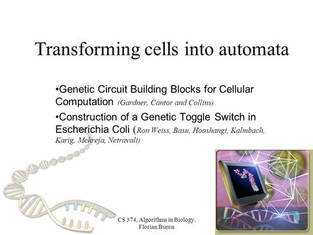 CS 374, Algorithms in Biology. Florian Buron Transforming cells into automata Genetic Circuit Building Blocks for Cellular Computation (Gardner, Cantor.