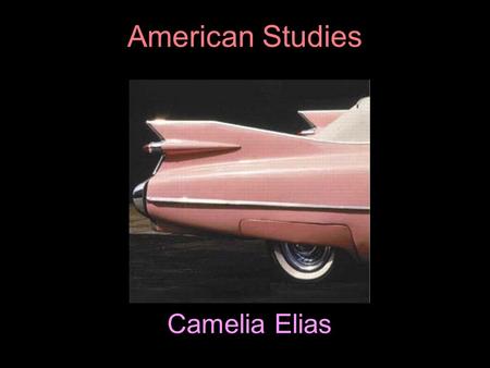Camelia Elias American Studies. the emergence of pluralism  As movement away from the “single truth” associated with positivism occurred, room was made.
