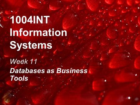1004INT Information Systems Week 11 Databases as Business Tools.
