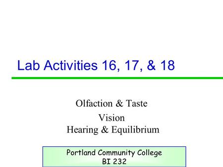 Lab Activities 16, 17, & 18 Olfaction & Taste Vision Hearing & Equilibrium Portland Community College BI 232.