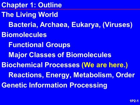 1P2-1 Chapter 1: Outline The Living World Bacteria, Archaea, Eukarya, (Viruses) Biomolecules Functional Groups Major Classes of Biomolecules Biochemical.