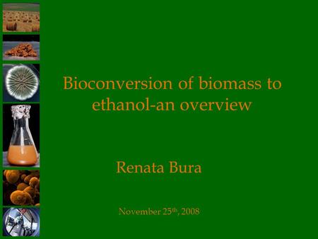 Bioconversion of biomass to ethanol-an overview Renata Bura November 25 th, 2008.