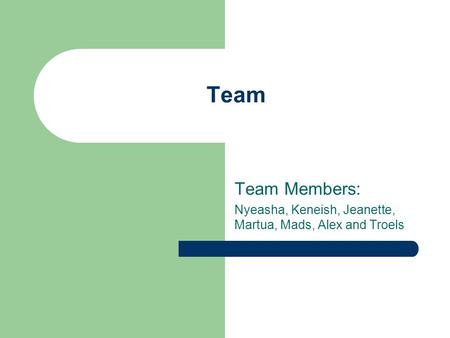 Team Team Members: Nyeasha, Keneish, Jeanette, Martua, Mads, Alex and Troels.
