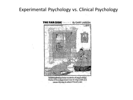 Experimental Psychology vs. Clinical Psychology. Prosopagnosia and Social Difficulties.