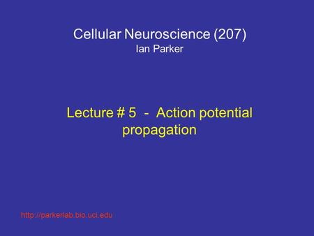 Cellular Neuroscience (207) Ian Parker Lecture # 5 - Action potential propagation
