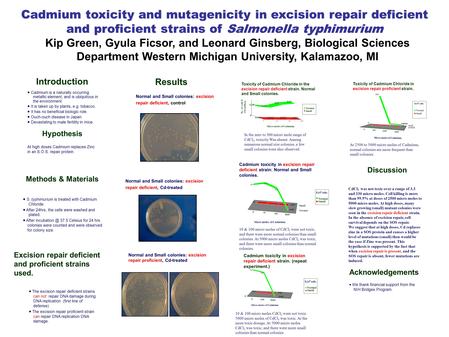 Cadmium toxicity and mutagenicity in excision repair deficient and proficient strains of Salmonella typhimurium Kip Green, Gyula Ficsor, and Leonard Ginsberg,