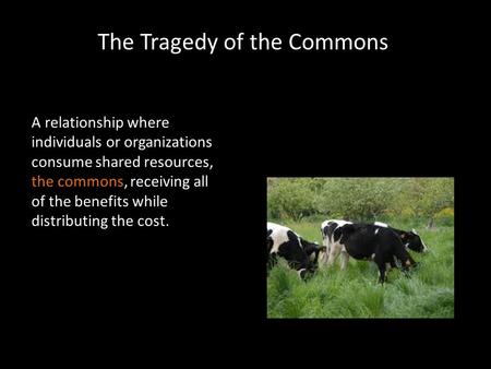 The Tragedy of the Commons A relationship where individuals or organizations consume shared resources, the commons, receiving all of the benefits while.