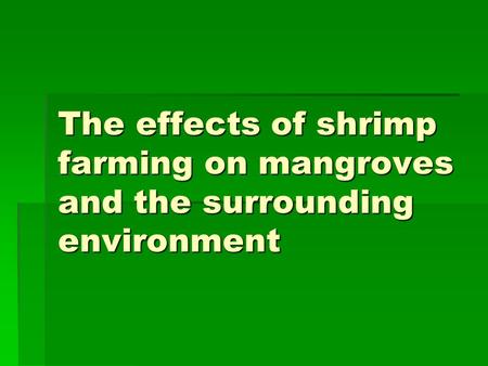The effects of shrimp farming on mangroves and the surrounding environment.