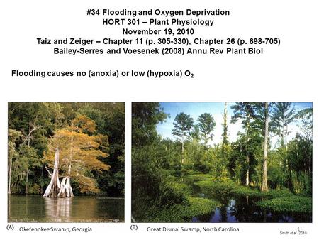 #34 Flooding and Oxygen Deprivation HORT 301 – Plant Physiology November 19, 2010 Taiz and Zeiger – Chapter 11 (p. 305-330), Chapter 26 (p. 698-705) Bailey-Serres.