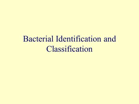 Bacterial Identification and Classification. How would you classify humans or a protist (protozoa) But this system doesn’t work for bacteria.