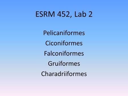 ESRM 452, Lab 2 Pelicaniformes Ciconiformes Falconiformes Gruiformes Charadriiformes.