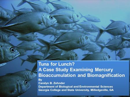 A Case Study Examining Mercury Bioaccumulation and Biomagnification