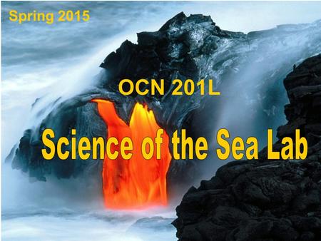 Spring 2015 OCN 201L. Michelle Smith   Instructor: Contact Information: