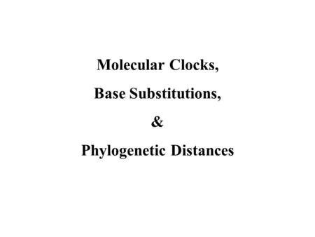 Molecular Clocks, Base Substitutions, & Phylogenetic Distances.
