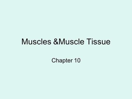 Muscles &Muscle Tissue