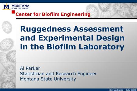 Center for Biofilm Engineering CBE workshop – July 2009 Al Parker Statistician and Research Engineer Montana State University Ruggedness Assessment and.