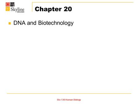 Chapter 20 DNA and Biotechnology Bio 130 Human Biology.
