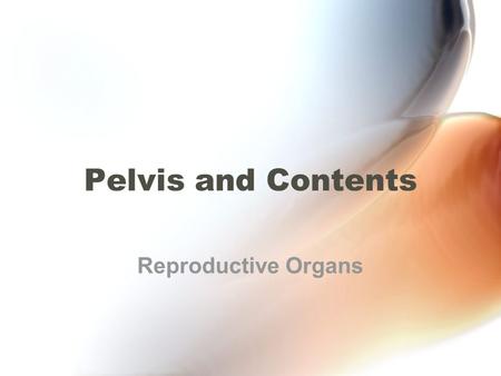 Pelvis and Contents Reproductive Organs.