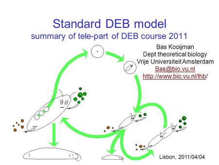 Standard DEB model summary of tele-part of DEB course 2011 Bas Kooijman Dept theoretical biology Vrije Universiteit Amsterdam