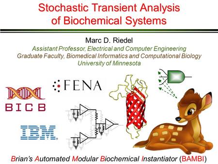 Stochastic Transient Analysis of Biochemical Systems Marc D. Riedel Assistant Professor, Electrical and Computer Engineering Graduate Faculty, Biomedical.