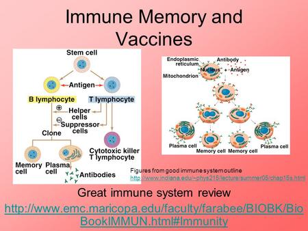 Immune Memory and Vaccines Great immune system review  BookIMMUN.html#Immunity Figures from good immune.