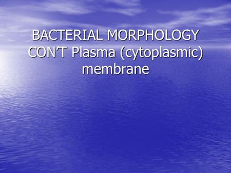 BACTERIAL MORPHOLOGY CON’T Plasma (cytoplasmic) membrane.