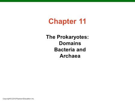 Copyright © 2010 Pearson Education, Inc. Chapter 11 The Prokaryotes: Domains Bacteria and Archaea.